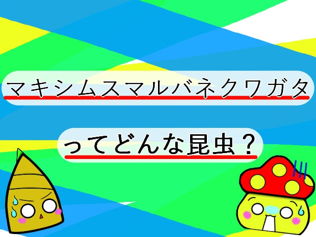 Thumbnail of post image 008